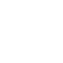 Authentic South Indian hospitality